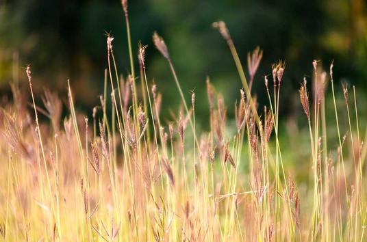 Landmark Court Ruling Empowers Consumers in PCP Car Finance Claims